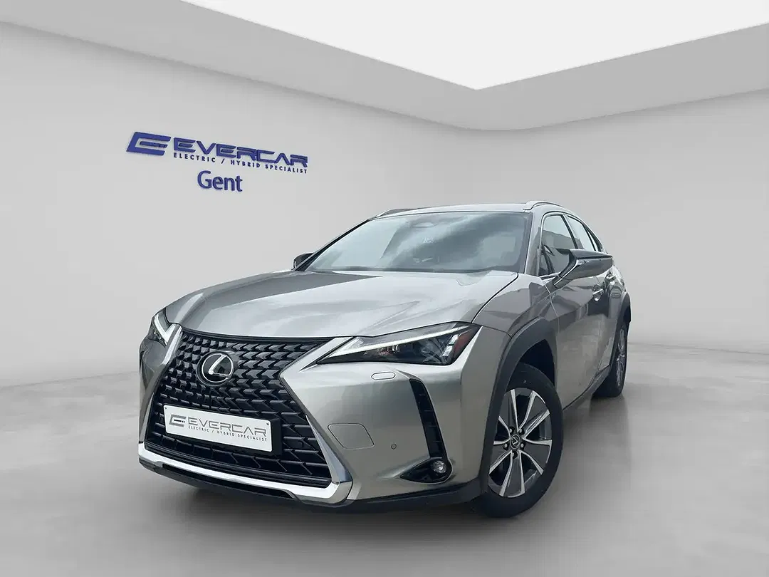 Lexus UX 300e