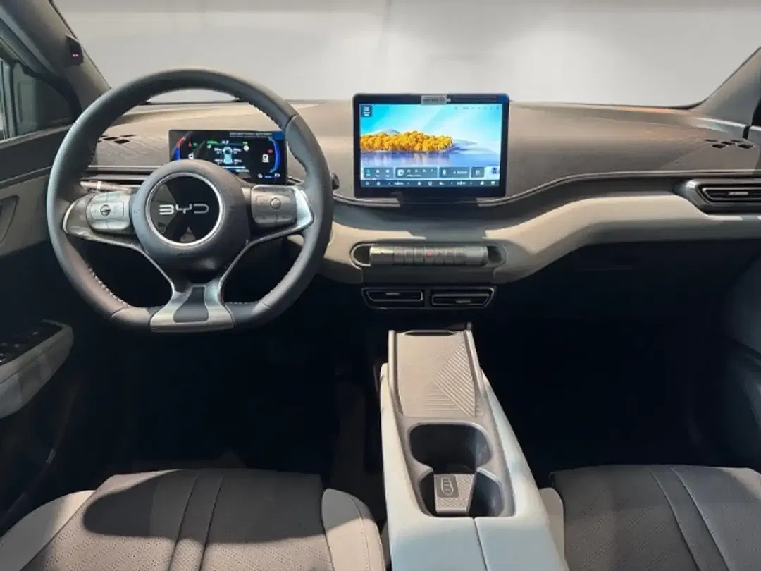 BYD Dolphin - Thumbnail 9
