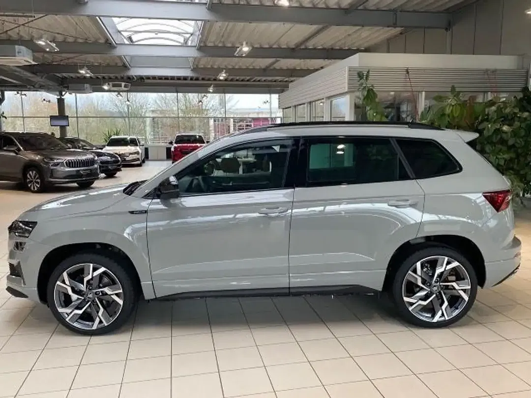 Skoda Karoq - Thumbnail 10