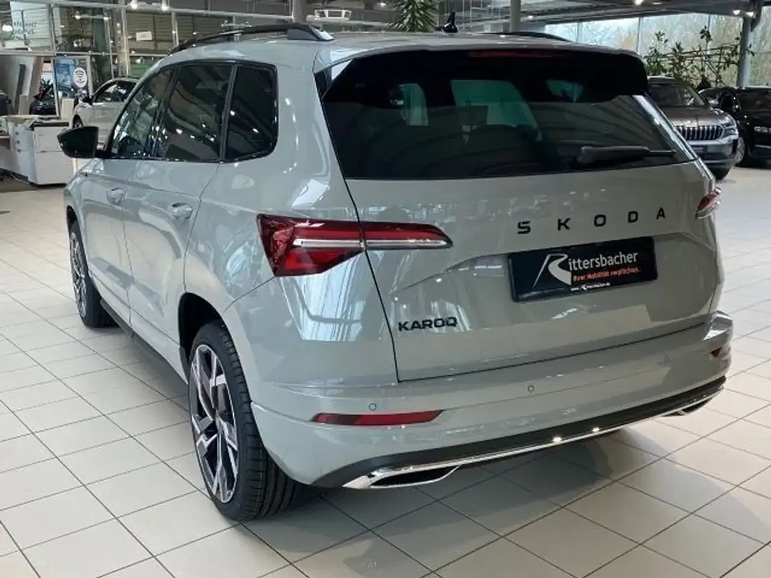 Skoda Karoq - Thumbnail 9