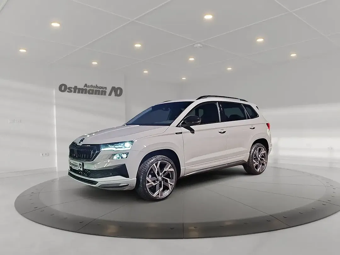 Skoda Karoq - Thumbnail 1