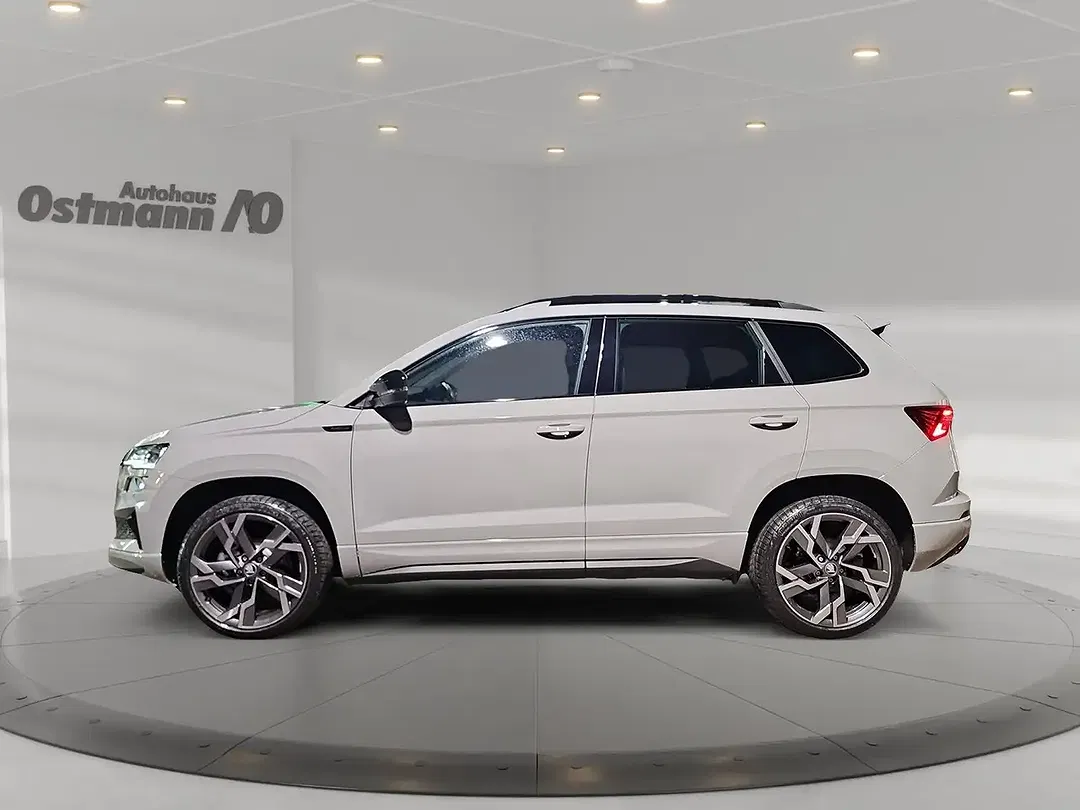 Skoda Karoq - Thumbnail 2