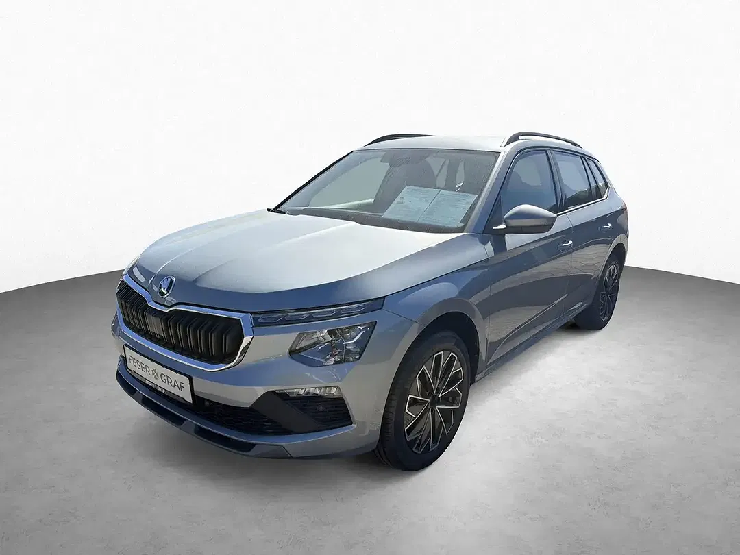 Skoda Kamiq - Thumbnail 11
