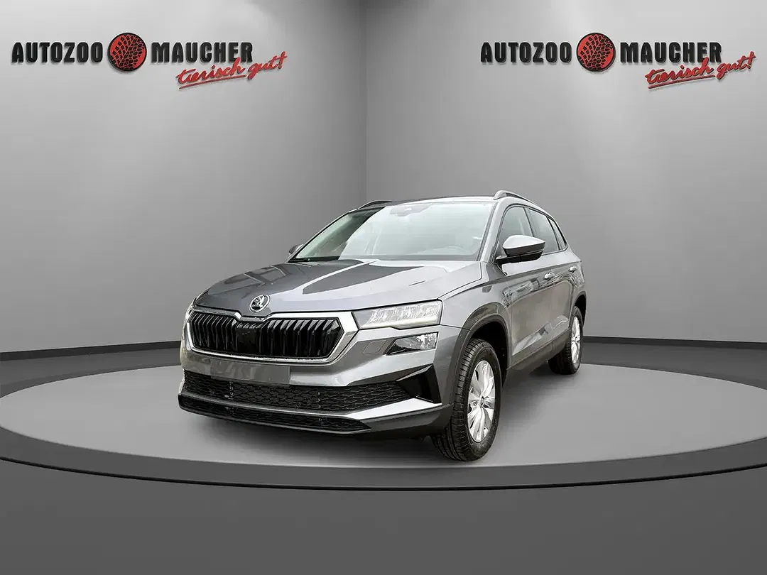 Skoda Karoq - Thumbnail 2