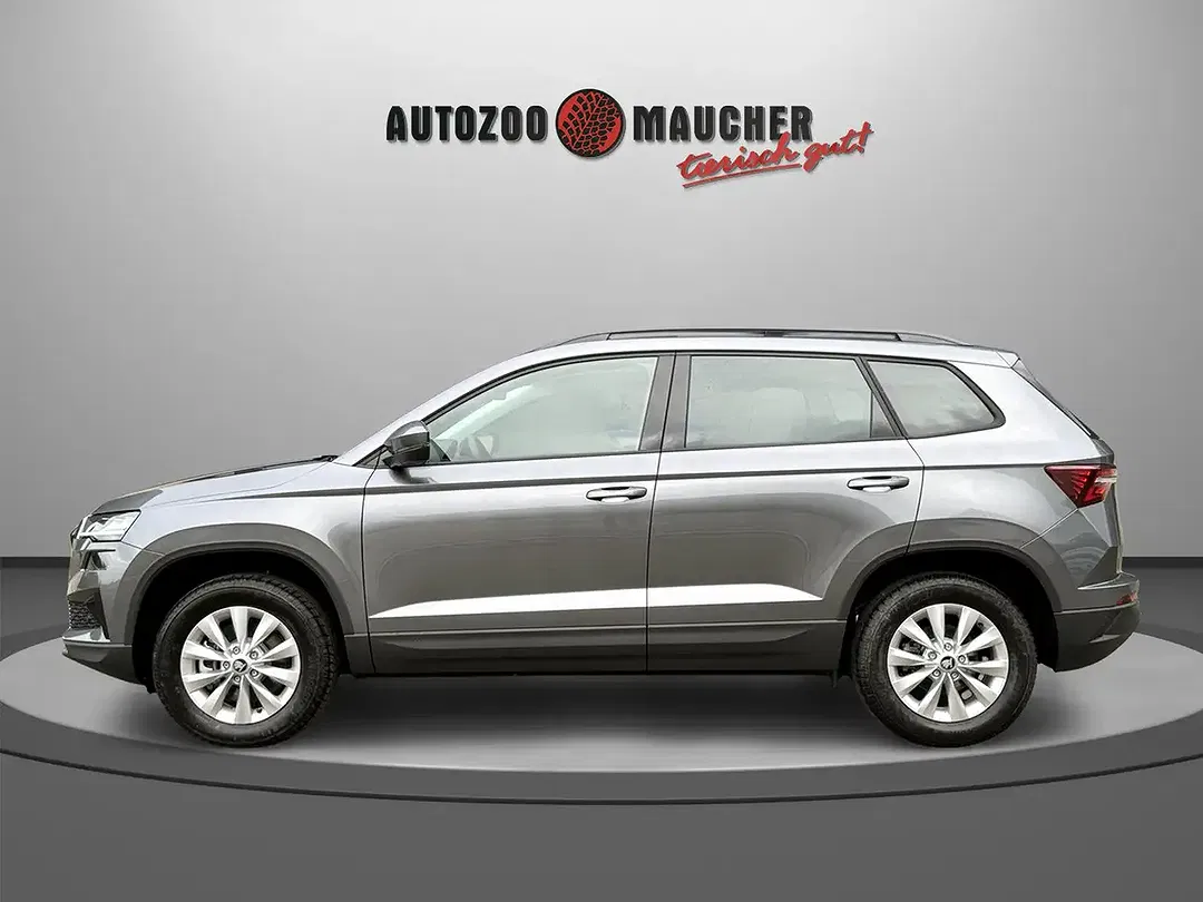 Skoda Karoq - Thumbnail 3