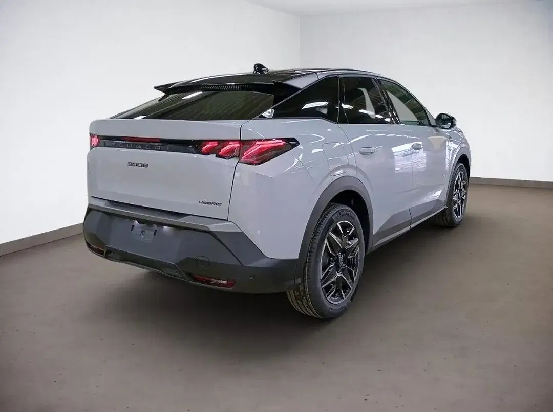 Peugeot 3008 - Thumbnail 4