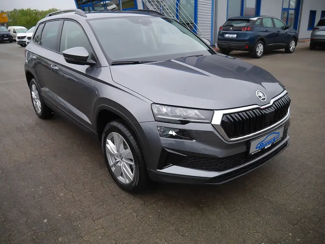 Skoda Karoq - Thumbnail 1