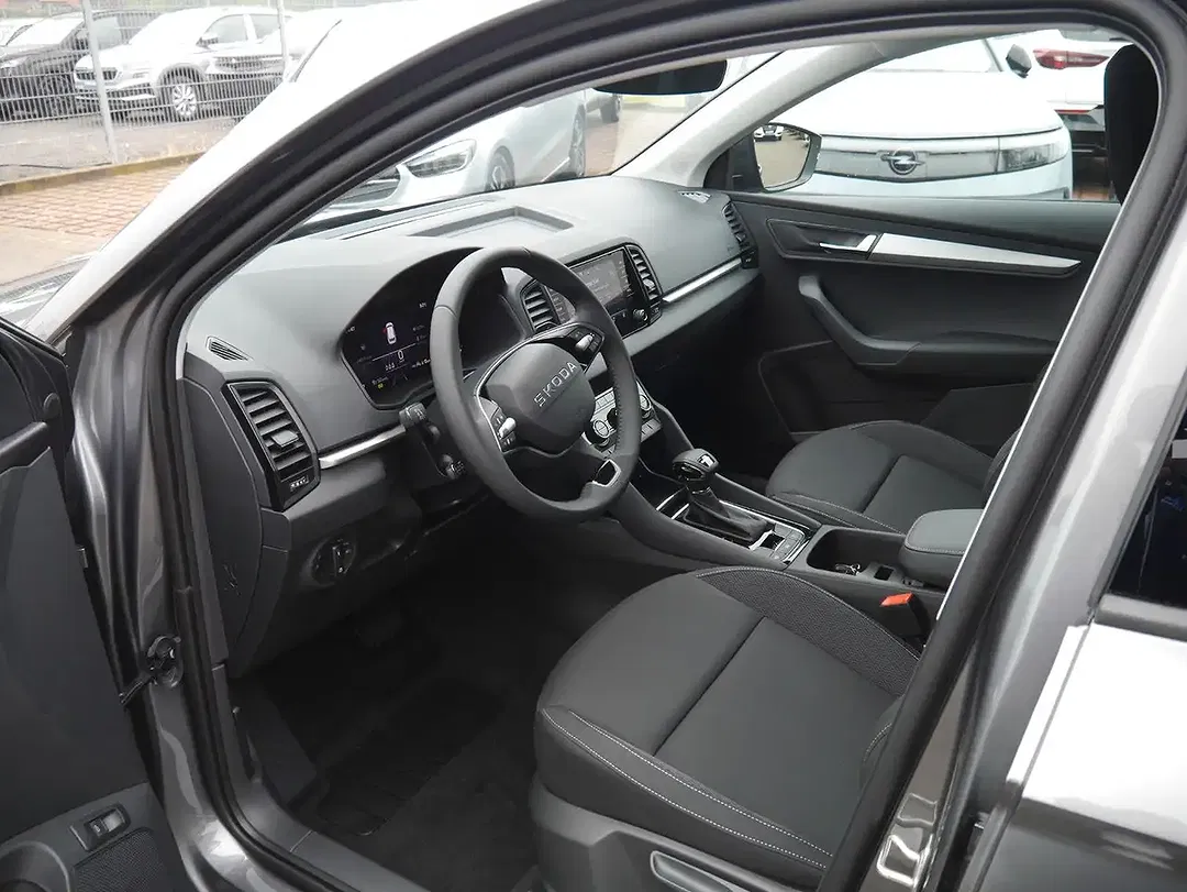 Skoda Karoq - Thumbnail 14