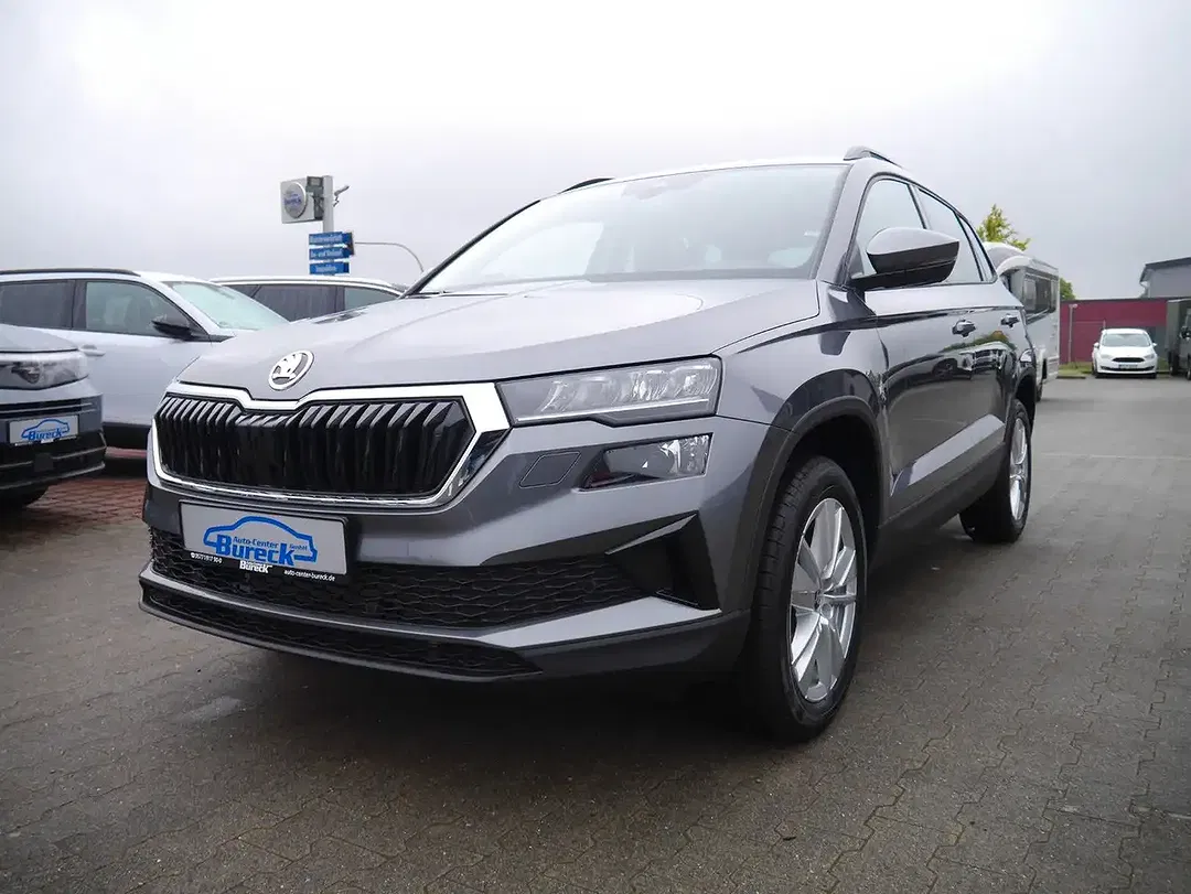 Skoda Karoq - Thumbnail 2
