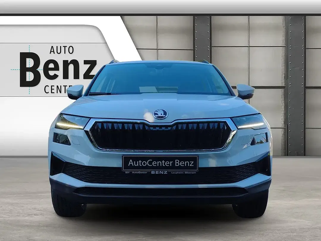 Skoda Karoq - Thumbnail 8