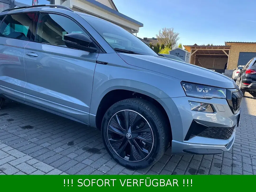 Skoda Karoq - Thumbnail 10