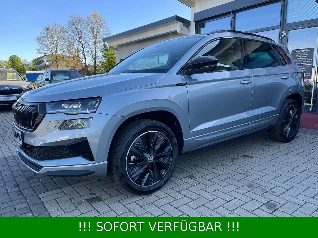 Skoda Karoq - Thumbnail 4