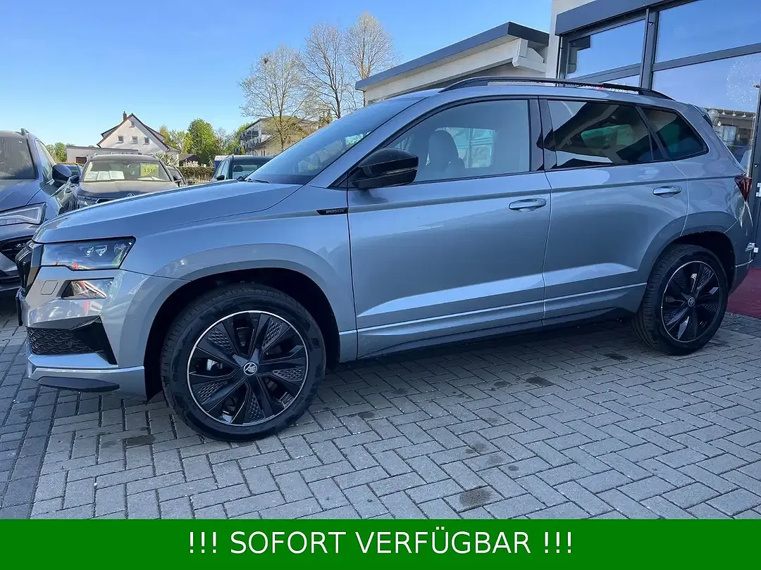 Skoda Karoq - Thumbnail 8