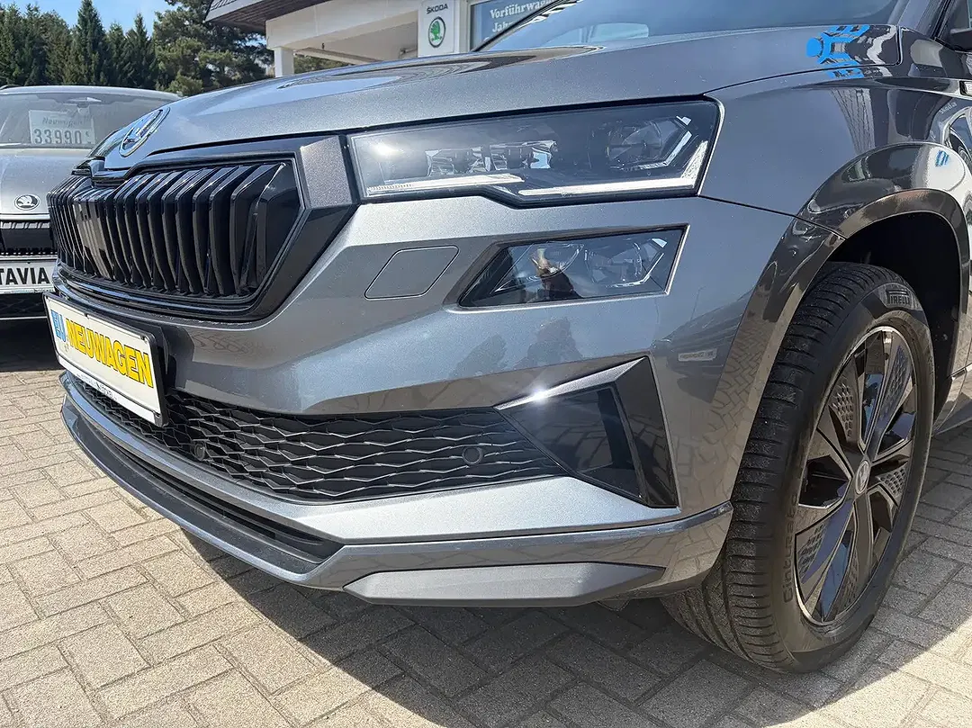 Skoda Karoq - Thumbnail 12