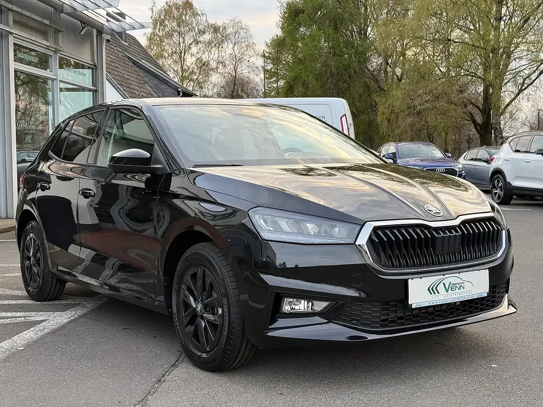 Skoda Fabia - Thumbnail 4