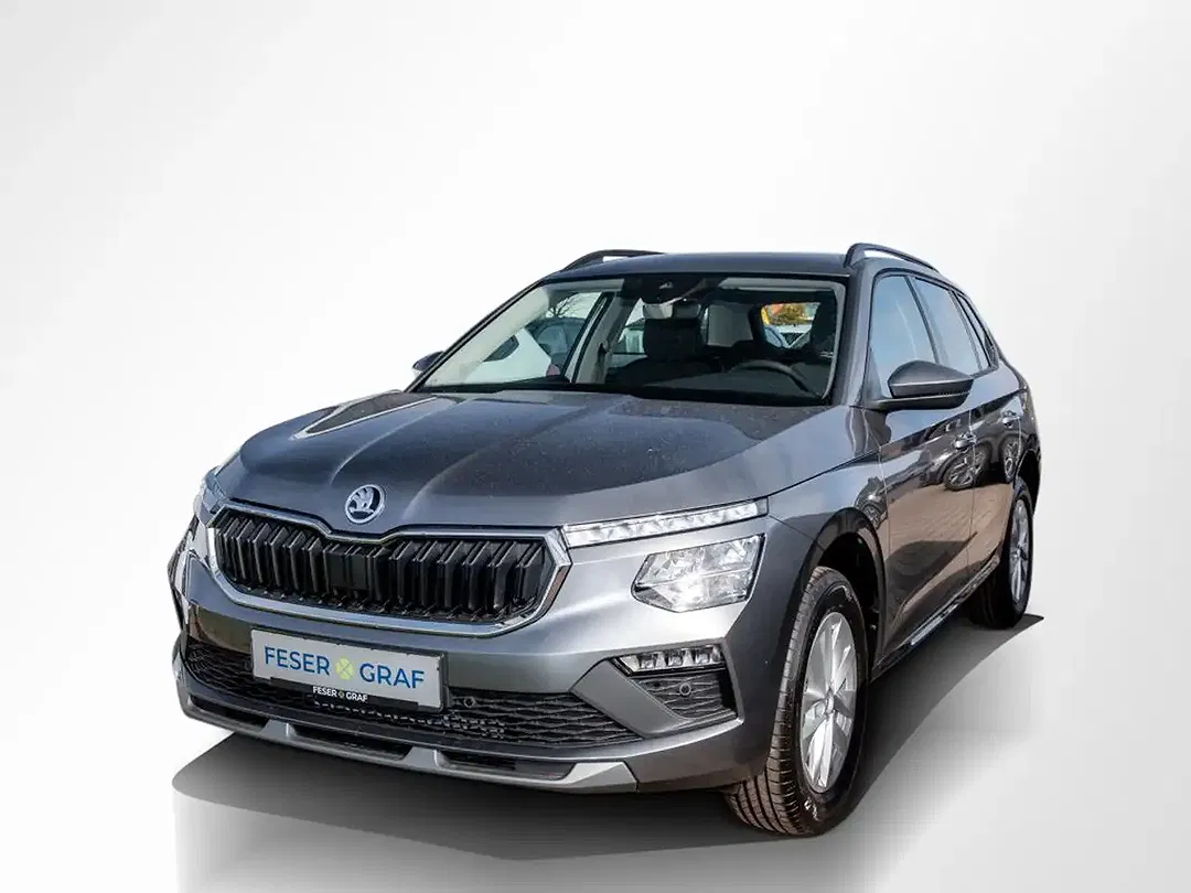 Skoda Kamiq - Thumbnail 11