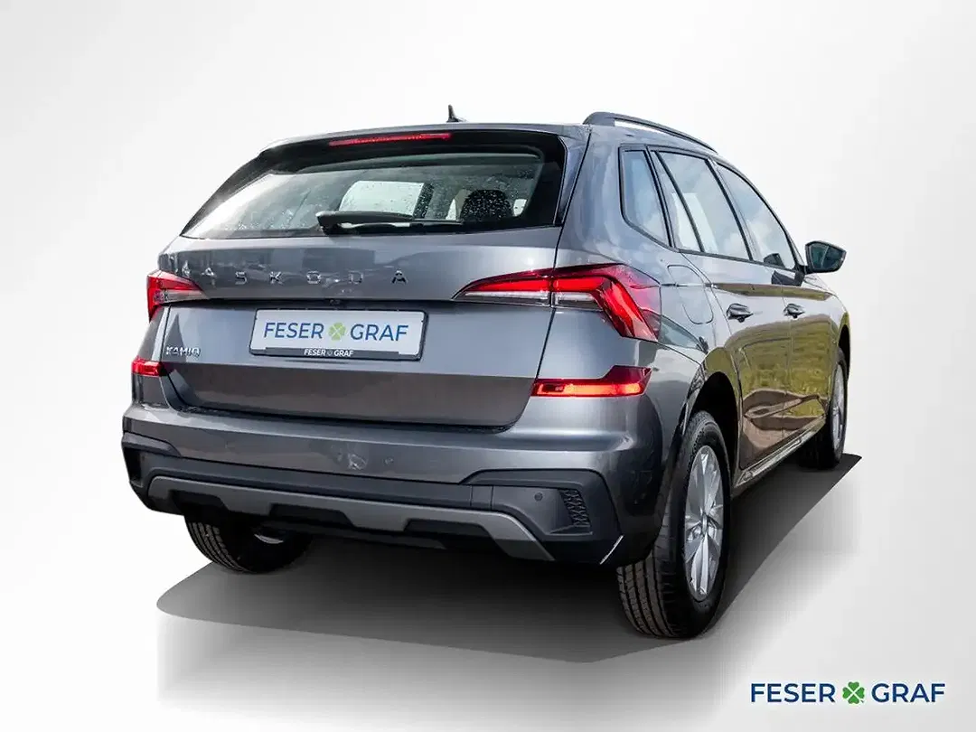 Skoda Kamiq - Thumbnail 2