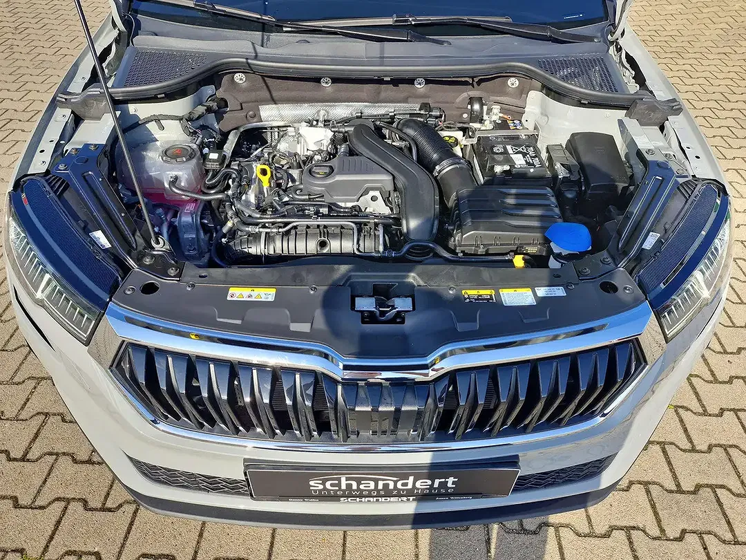 Skoda Karoq - Thumbnail 14