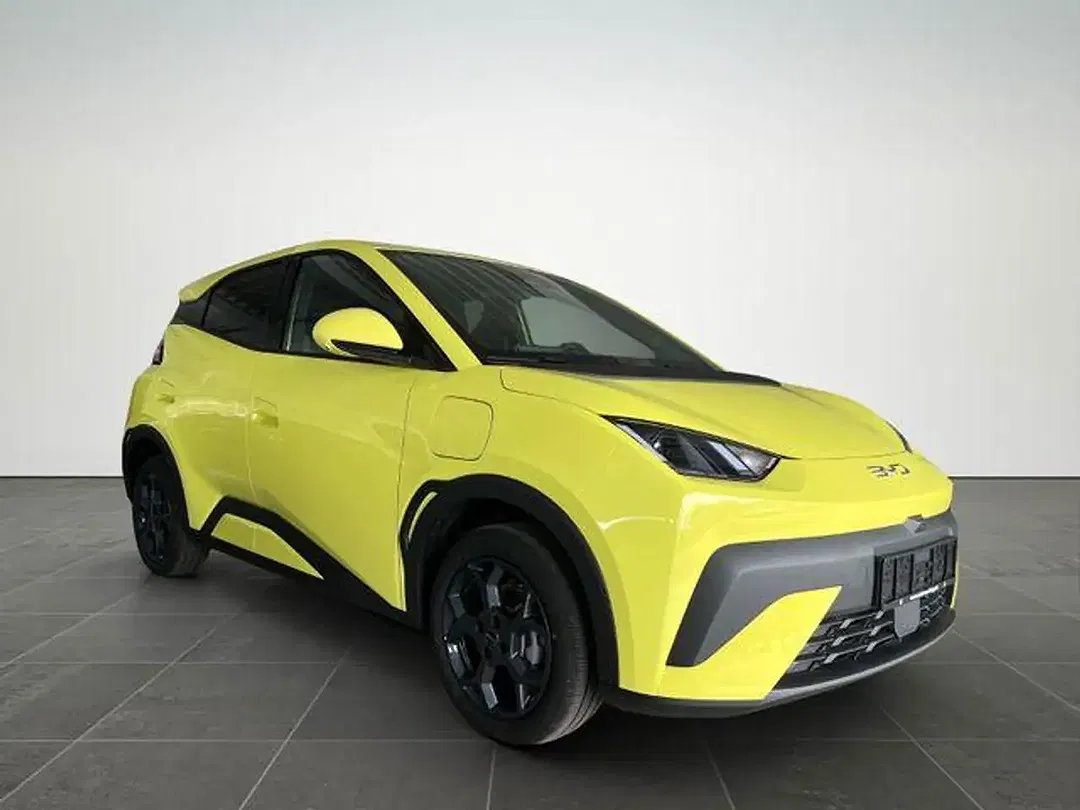 BYD Dolphin - Thumbnail 2