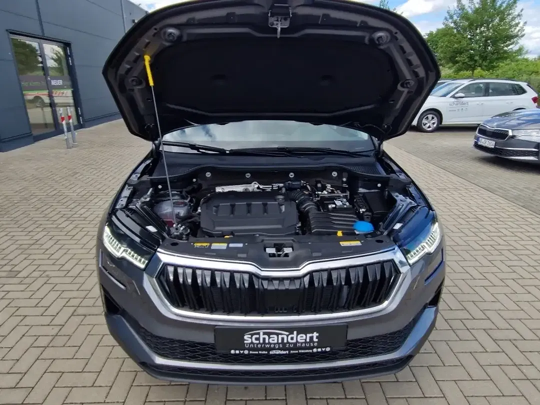 Skoda Karoq - Thumbnail 15