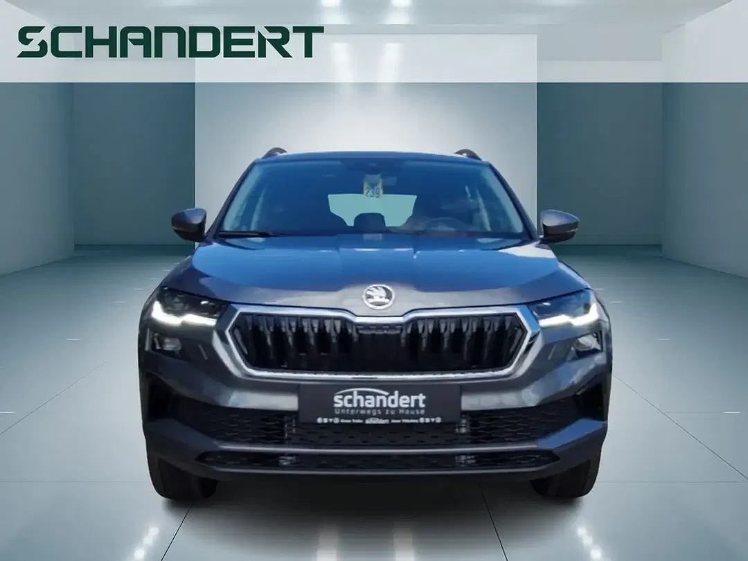 Skoda Karoq - Thumbnail 5