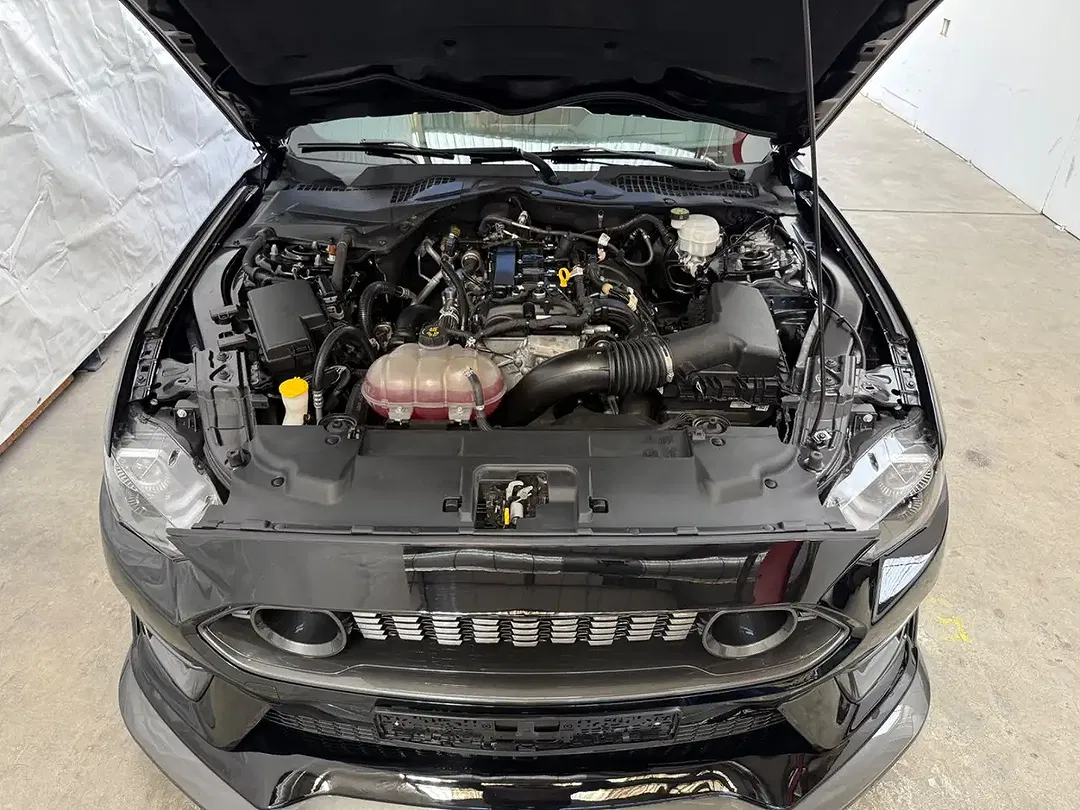 Ford Mustang - Thumbnail 15