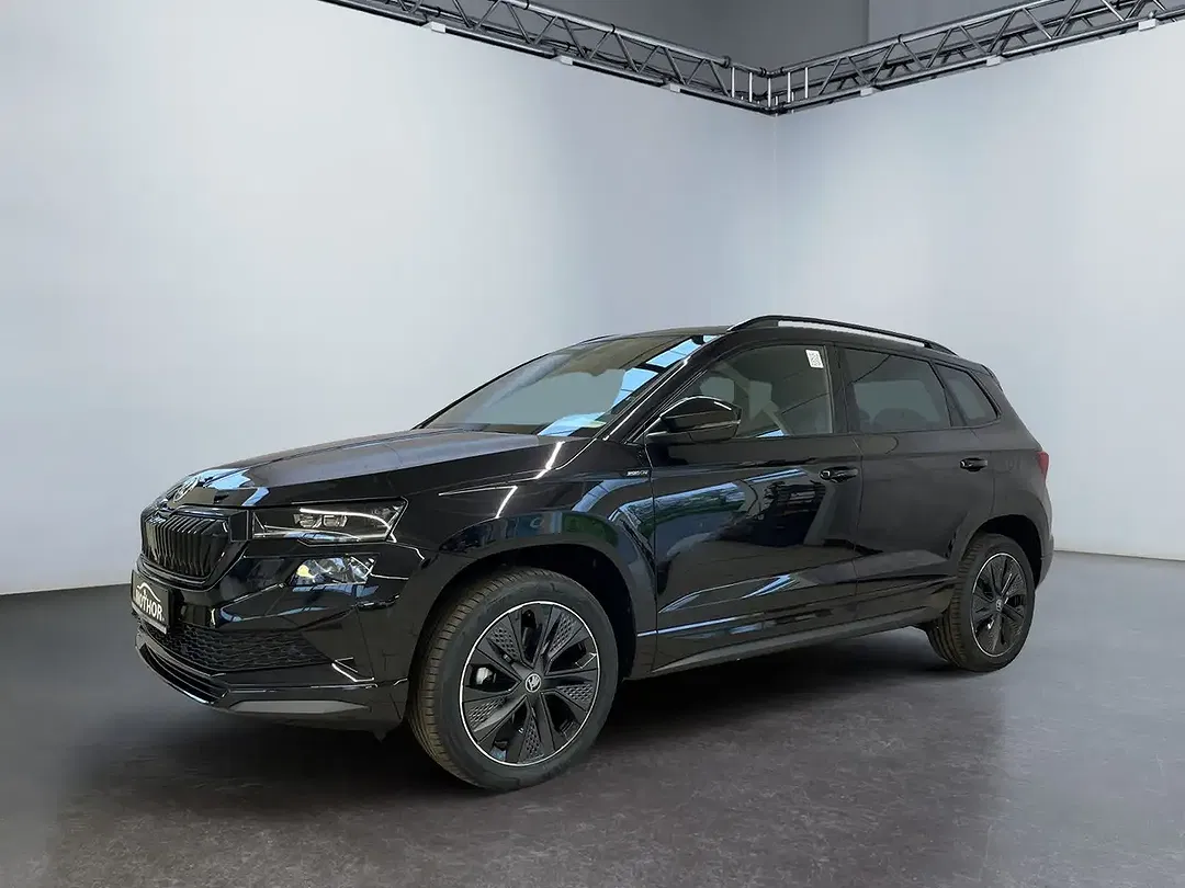 Skoda Karoq - Thumbnail 1