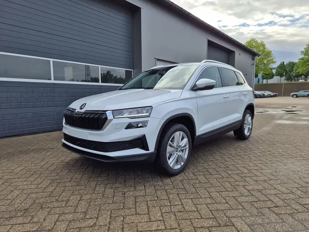 Skoda Karoq - Thumbnail 1