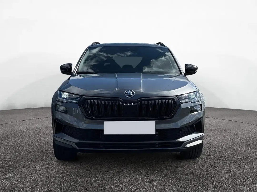 Skoda Karoq - Thumbnail 1