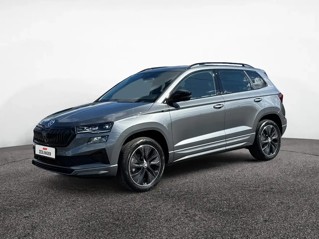 Skoda Karoq - Thumbnail 2