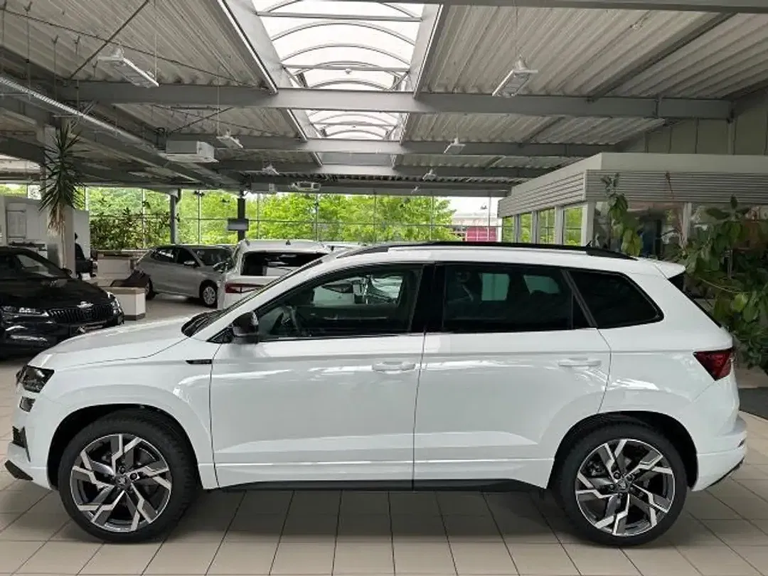 Skoda Karoq - Thumbnail 10