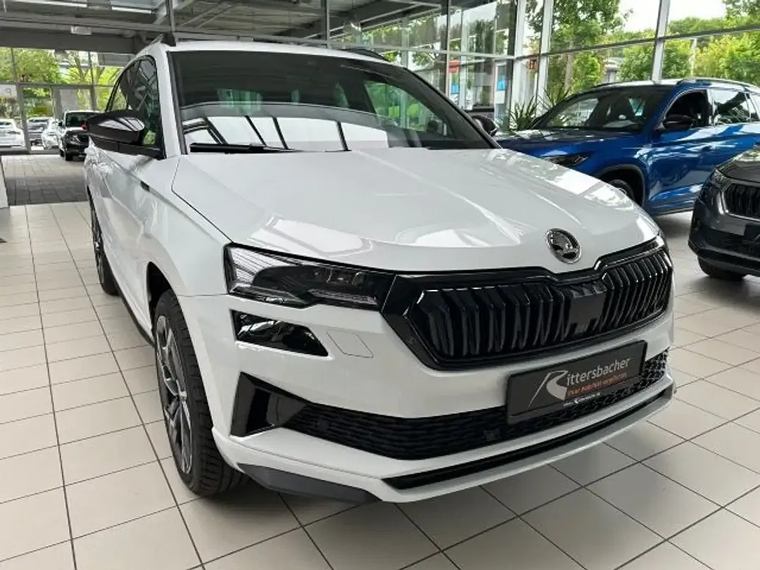 Skoda Karoq - Thumbnail 4