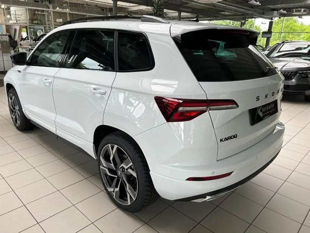Skoda Karoq - Thumbnail 9