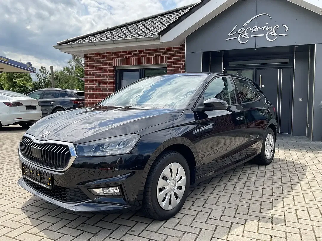 Skoda Fabia - Afbeelding 1