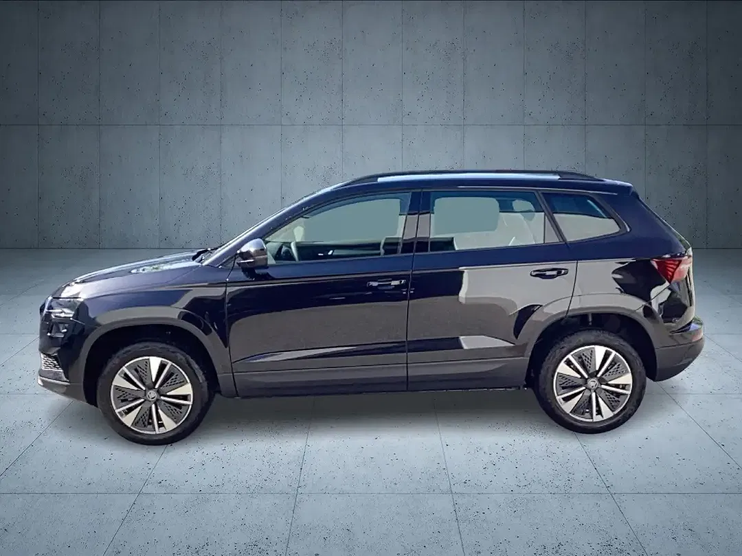 Skoda Karoq - Thumbnail 2