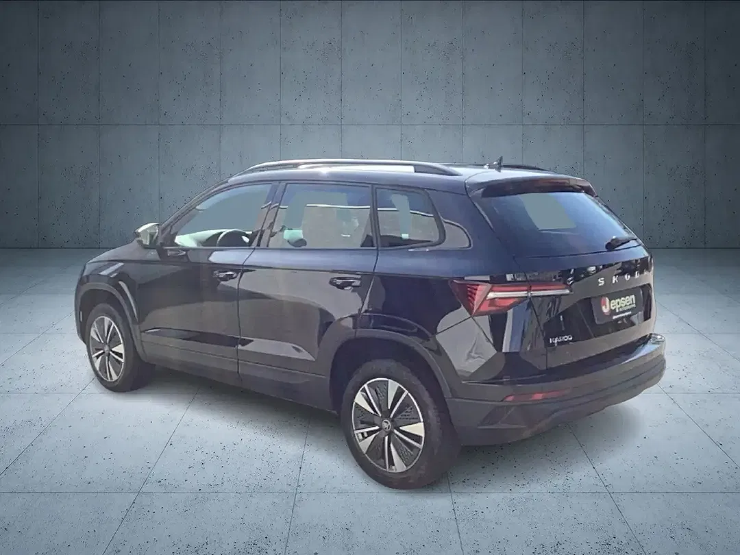Skoda Karoq - Thumbnail 3