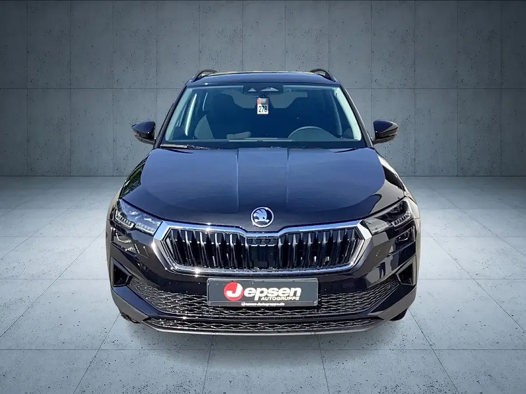 Skoda Karoq - Thumbnail 8