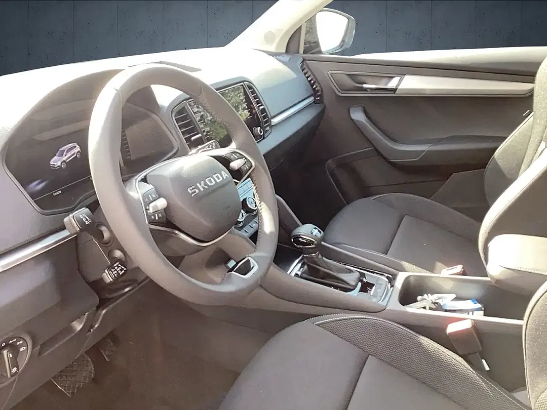 Skoda Karoq - Thumbnail 9