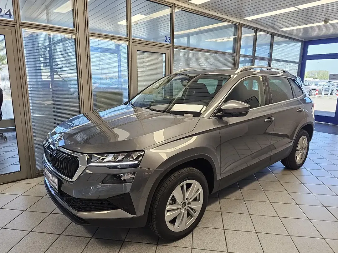 Skoda Karoq - Thumbnail 2