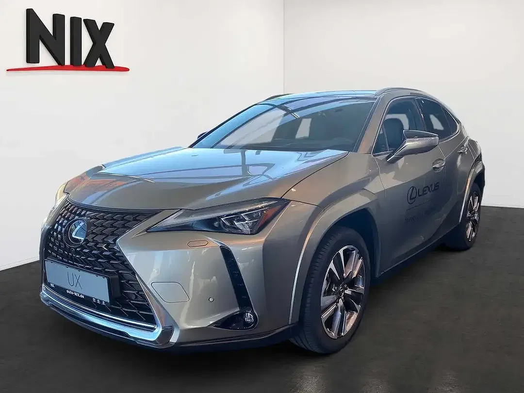 Lexus UX 300e Entry