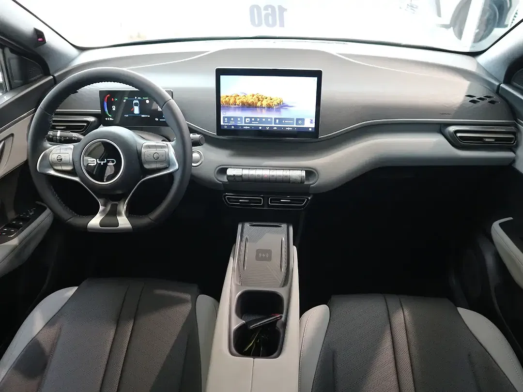 BYD Dolphin Surf - Thumbnail 19