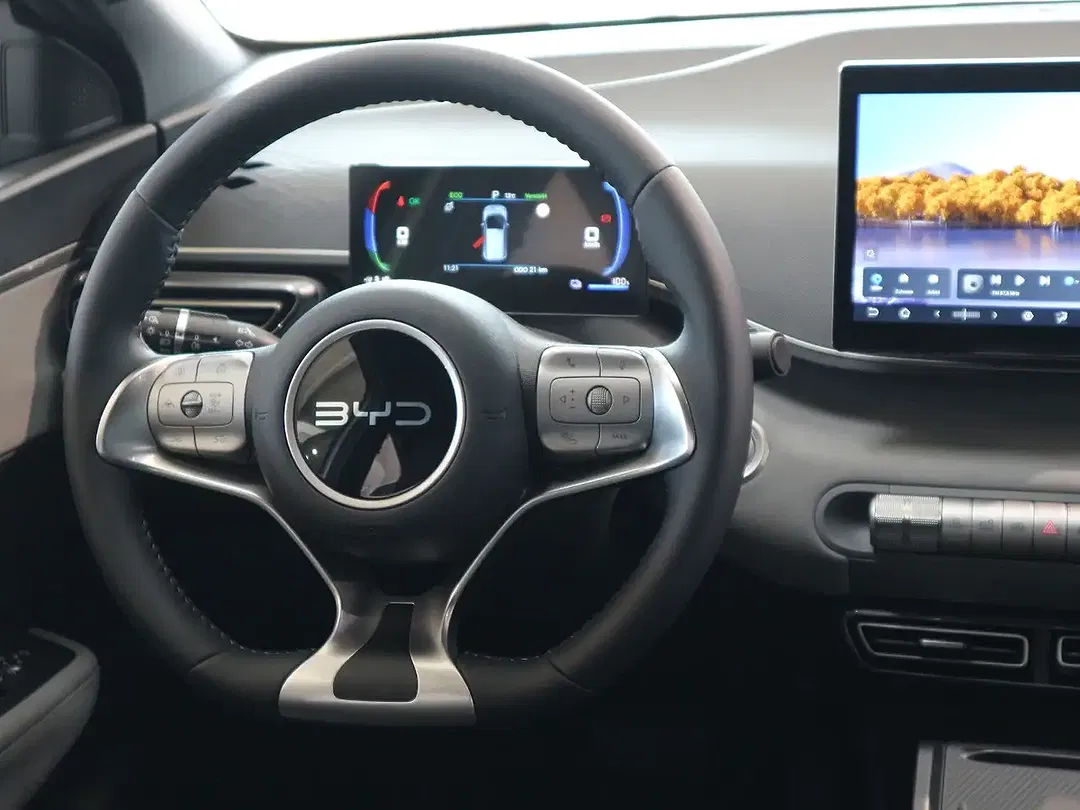 BYD Dolphin Surf - Thumbnail 20