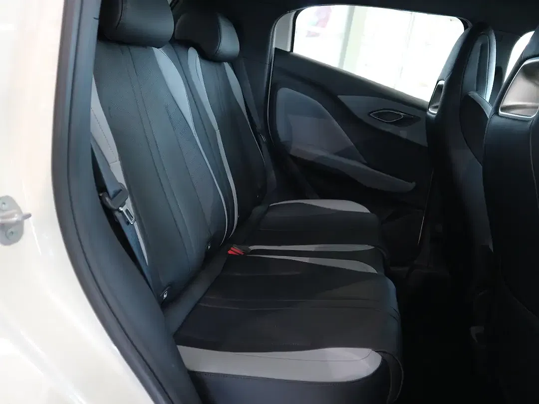 BYD Dolphin Surf - Thumbnail 24