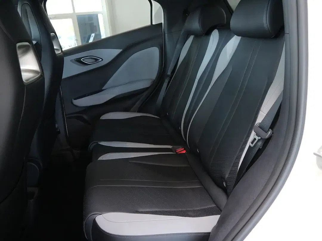 BYD Dolphin Surf - Thumbnail 25