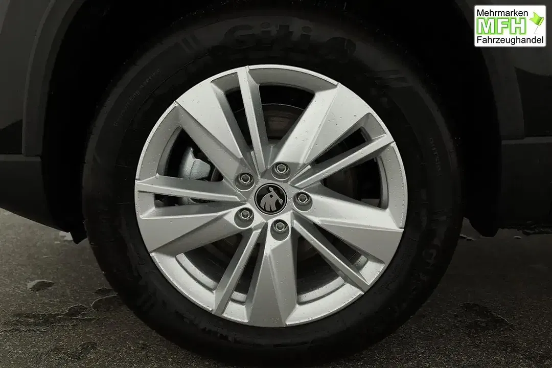 Skoda Karoq - Thumbnail 15
