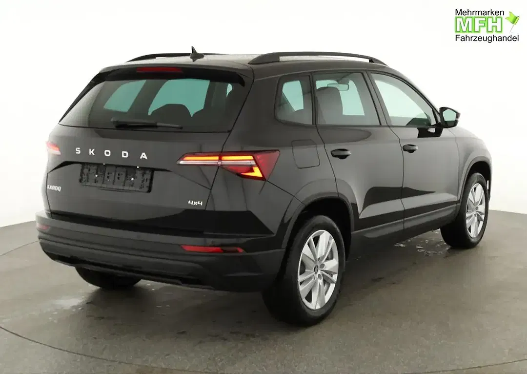 Skoda Karoq - Thumbnail 2