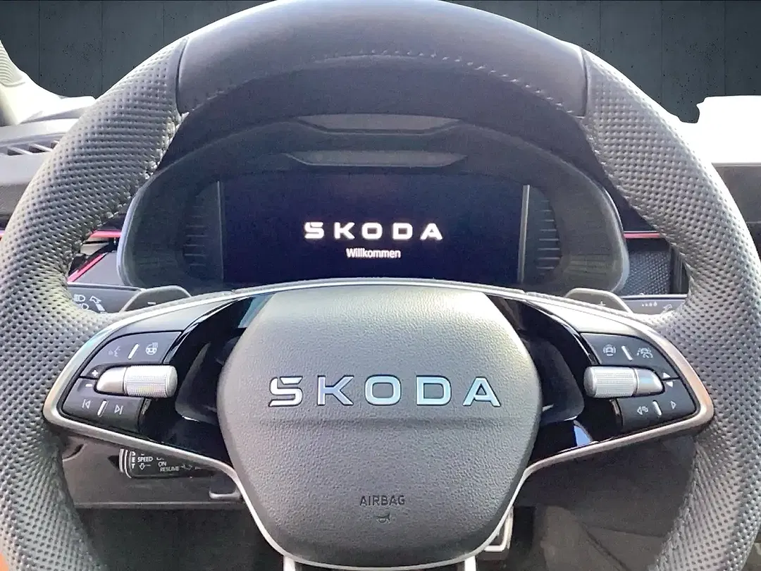 Skoda Kamiq - Thumbnail 10