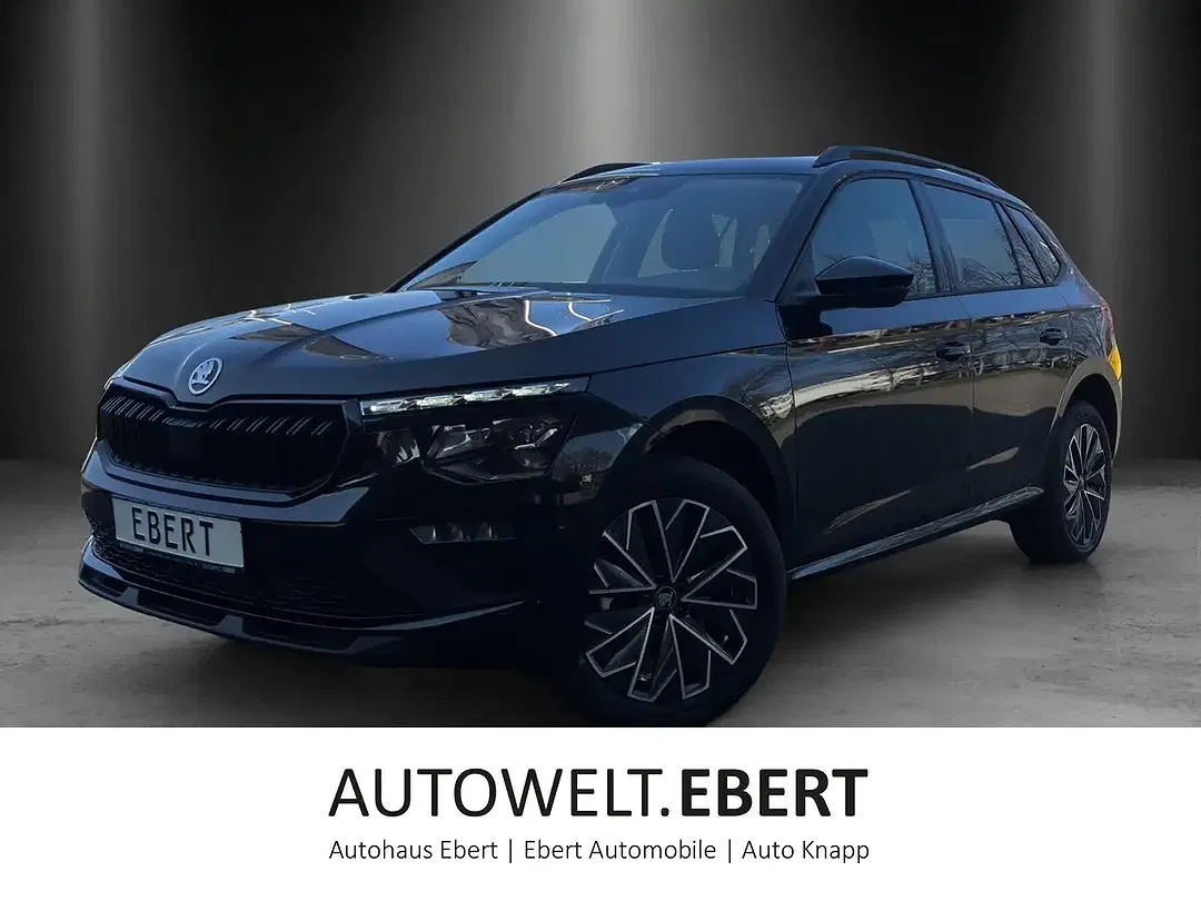 Skoda Kamiq - Thumbnail 1