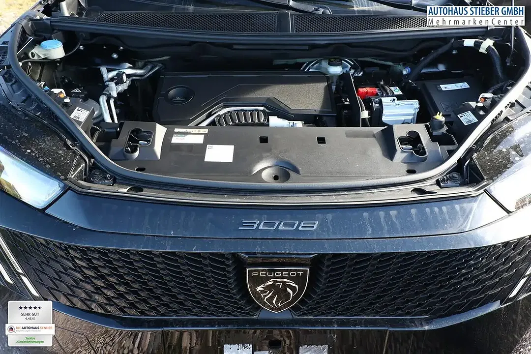 Peugeot 3008 - Thumbnail 11