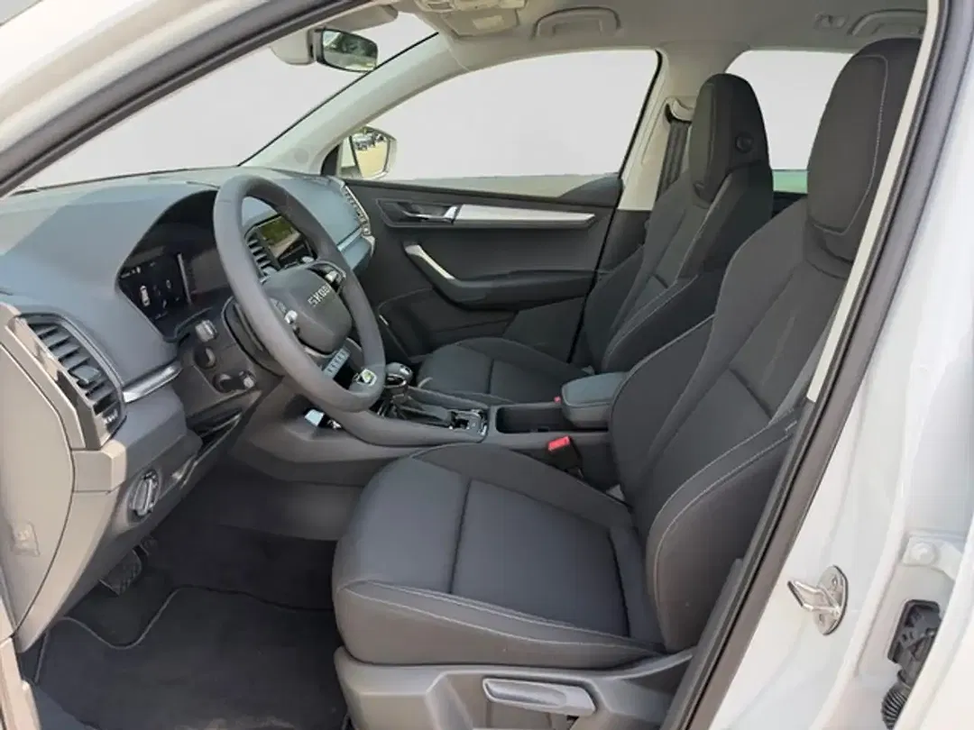 Skoda Karoq - Thumbnail 10